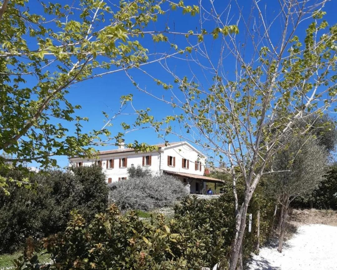 Penzion Rustico Del Bozzo Castelleone di Suasa Exteriér fotografie